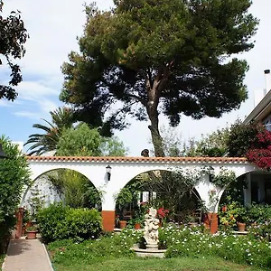Oasis Menorca Spain
